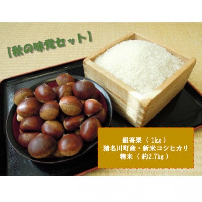 【秋の味覚セット】銀寄栗1kg・猪名川町の令和6年産コシヒカリ(精米)約2.7kg詰め合わせ