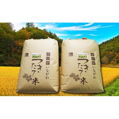 【お米食べ比べセット(精米)】猪名川町産キヌヒカリ・コシヒカリ(各約9kg)