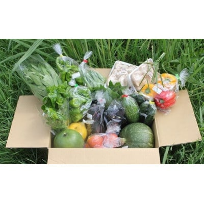 猪名川町産・おまかせ「夏野菜セット」合計約1.5～2.5kg(6種類以上)