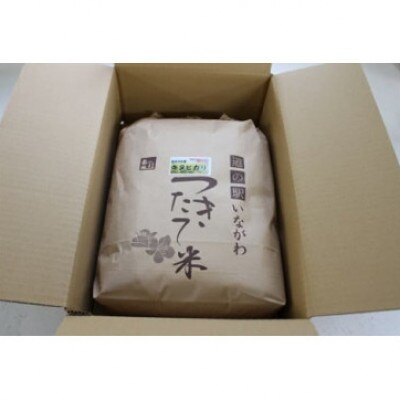 【令和6年産】猪名川町のお米コシヒカリ(玄米)10kg