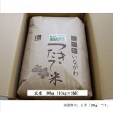 【令和6年産】猪名川町のお米コシヒカリ(玄米)30kg