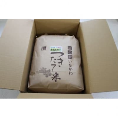 【令和6年産】猪名川町のお米コシヒカリ(精米)約9kg