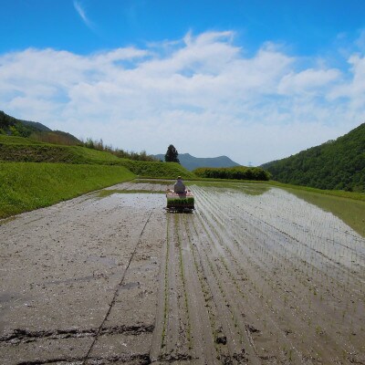 【令和6年産】猪名川町のお米キヌヒカリ(玄米)10kg