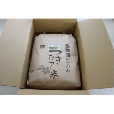 【令和6年産】猪名川町のお米キヌヒカリ(精米)約9kg