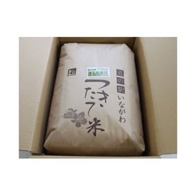 【2ヵ月毎定期便】猪名川町のお米コシヒカリ(玄米)10kg×全6回