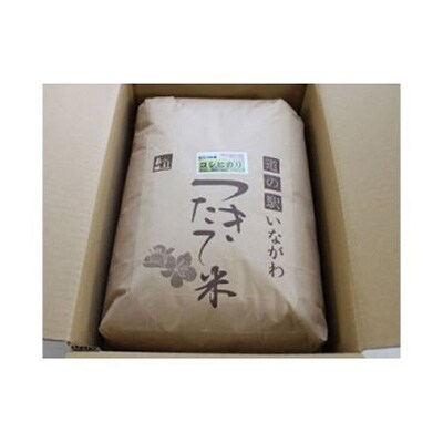 【2ヵ月毎定期便】猪名川町のお米コシヒカリ(精米)　約9kg×全6回