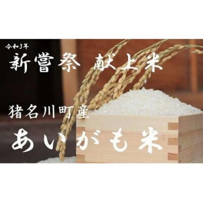 コシヒカリ 令和3年 古米 玄米 （中米】令和3年産 特別栽培米