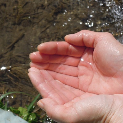 【毎月定期便】猪名川町のお米(コシヒカリ20kg)玄米×全4回