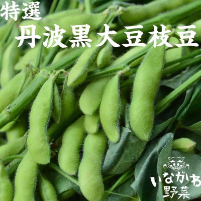 いながわ農業女子　丹波黒大豆枝豆(枝なし莢のみ3kg)