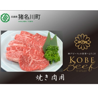 神戸ビーフ　焼肉用　500g　INGWY2
