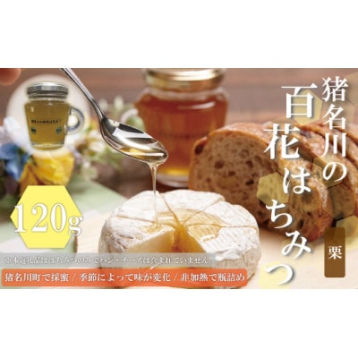 猪名川の百花はちみつ(栗)2本セット