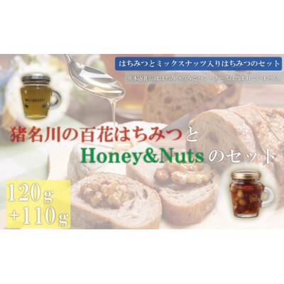 猪名川の百花はちみつ(れんげ)とハニーナッツ1本ずつ(計2本)セット