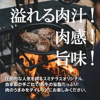 スミテラスの自家製手ごねハンバーグ 6個