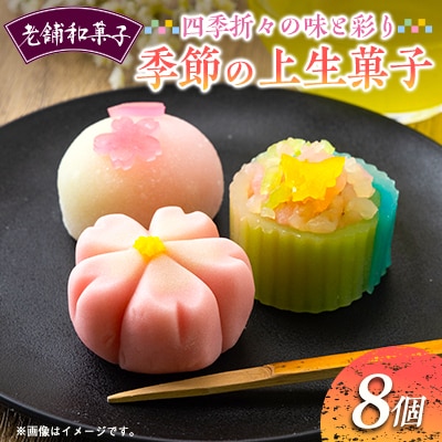 季節の上生菓子8個セット