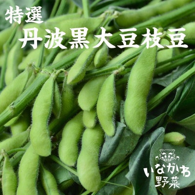 丹波黒大豆枝豆もぎ取体験 枝豆さや1Kgお持ちかえり