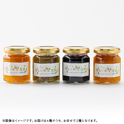 【猪名川町産】フルーツマーマレード・ジャム　2種セット(おまかせ)
