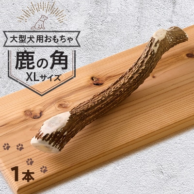 【大型犬向け】鹿の角XLサイズ丸々1本(大型犬用約30cm)