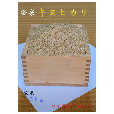 キヌヒカリ　令和8年産新米(玄米)