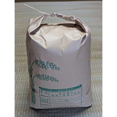 キヌヒカリ　令和8年産新米(玄米)