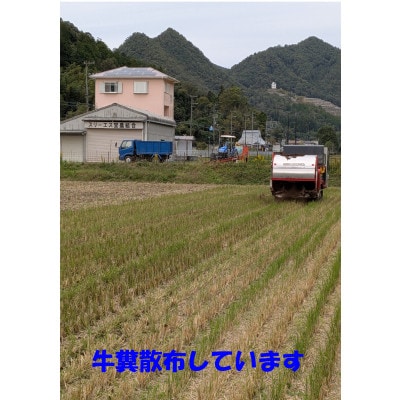 キヌヒカリ　令和8年産新米(玄米)