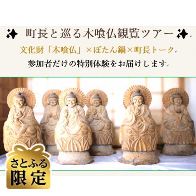 【さとふる限定】【令和8年11月8日(日)開催!】町長と巡る木喰仏観覧ツアー