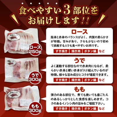 「野呂くじら」いのしし肉 3パックセット(計850g)
