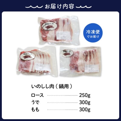 「野呂くじら」いのしし肉 3パックセット(計850g)