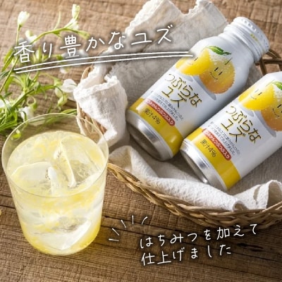 つぶらなカボス・つぶらなユズ　ギフト(24本セット)_I02040