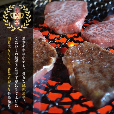 田村牛 特選カルビ焼肉セット