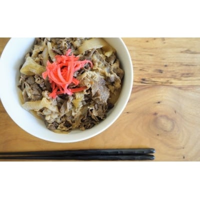鳥取県産ハンバーグ2種&牛丼セット