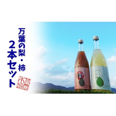 鳥取県産梨・柿リキュール「万葉の宴」2本セット