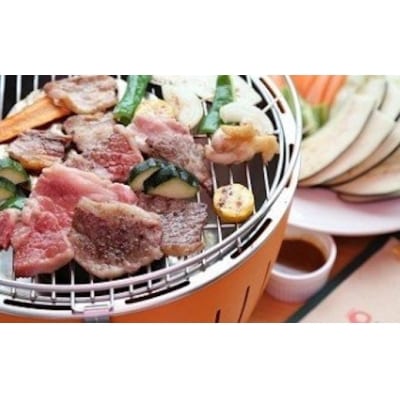 【鳥取和牛】赤身&霜降り焼肉用切り落とし