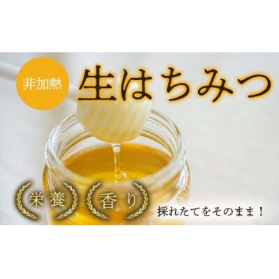鳥取はちみつセット(ビン170g×2本)