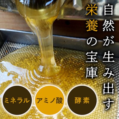 鳥取はちみつセット(ボトル300g×2本)