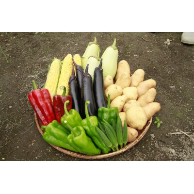 野菜セット〈夏〉