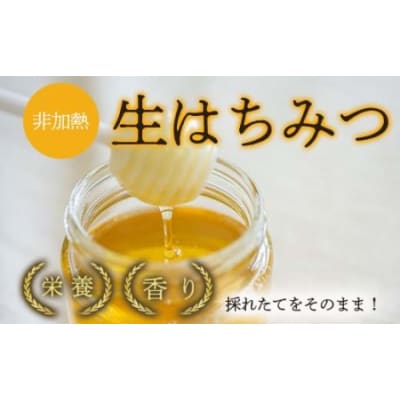 鳥取はちみつセット(ボトル500g×2本)