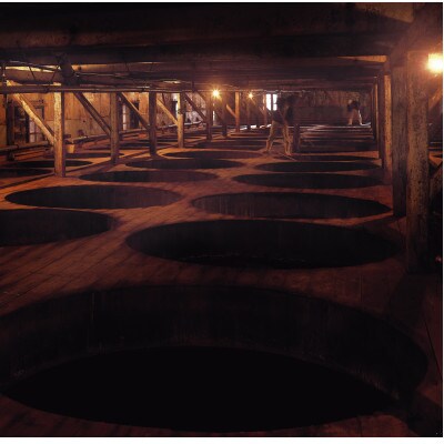 元祖秋田味噌 750gカップ×8個セット