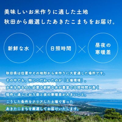 令和4年産秋田県産あきたこまち一等米10kg(精米)