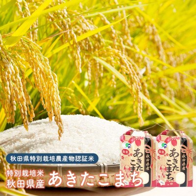 令和4年産秋田県産特別栽培米あきたこまち 10kg(精米)