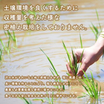 令和4年産秋田県産特別栽培米あきたこまち 10kg(精米)