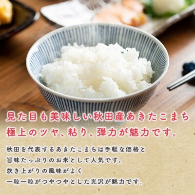 令和4年産秋田県産特別栽培米あきたこまち 20kg(精米)