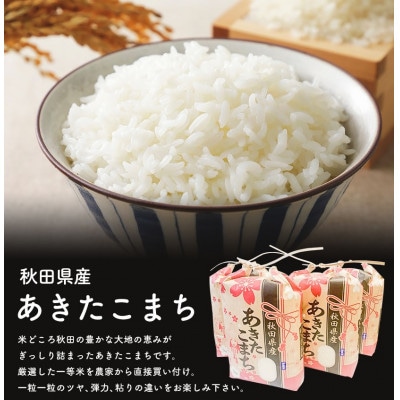 秋田県産あきたこまち無洗米　20kg