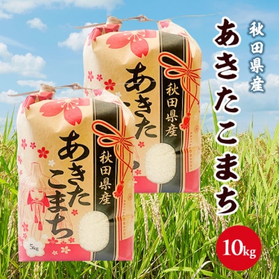 令和5年産秋田県産あきたこまち白米10kg(5kg×2袋)