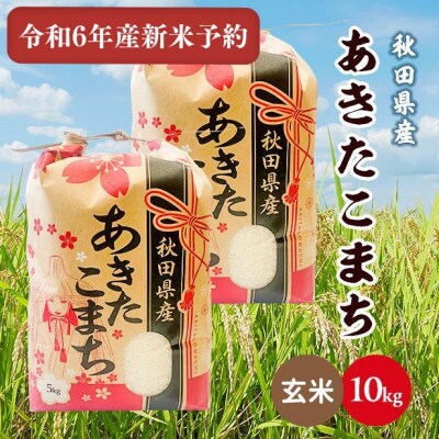 令和6年産》玄米 秋田県産 あきたこまち｜楽天マート - ネット