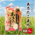令和6年産 秋田県産あきたこまち 5kg(玄米)