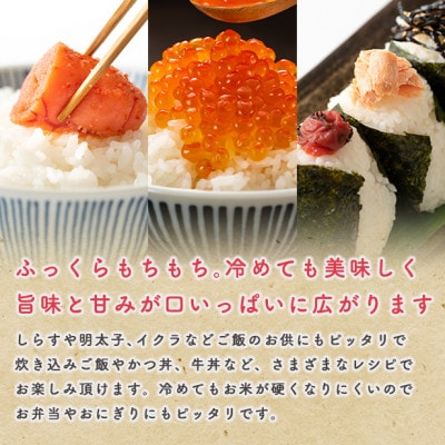 【新米予約】令和7年産 秋田県産あきたこまち 家計お助け米(精米)5kg　9月下旬より順次発送