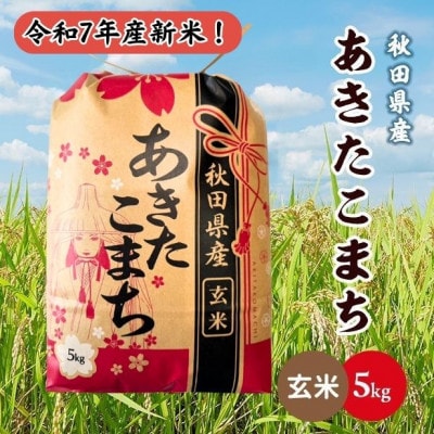 新米!令和7年産 秋田県産あきたこまち 5kg(玄米)