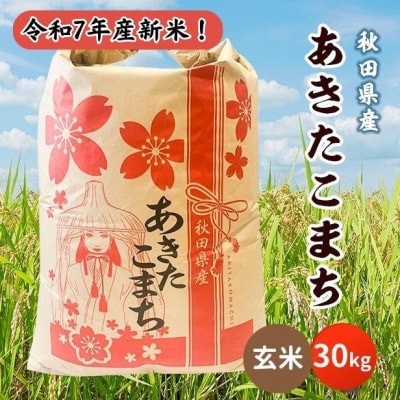 新米!令和7年産 秋田県産あきたこまち 30kg(玄米)