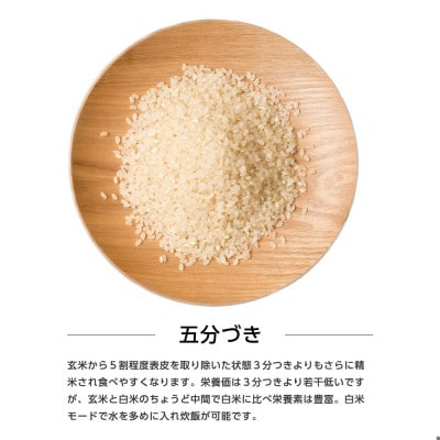 【新米先行受付】令和8年産 秋田県産あきたこまち 20kg(5kg×4袋)(五分づき)精米