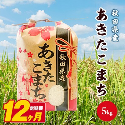 【毎月定期便】秋田県産あきたこまち白米 5kg×1袋 全12回